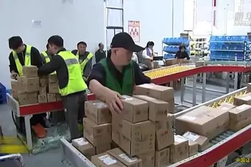 中国物流与采购联合会：前十个月全国社会物流总额293.7万亿元同比增长5.1%